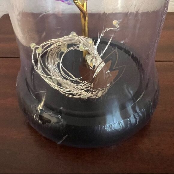 Dream of Flowers Lighted Rose in Glass Dome with Faux Wooden Base. New!! - Picture 9 of 11